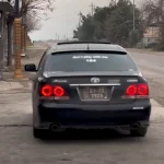 Raviar