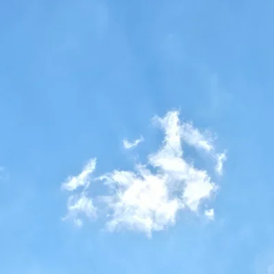 shakarali