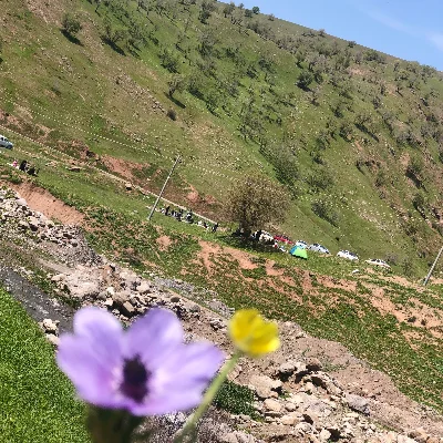 dina