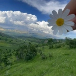 SavyaHasan74