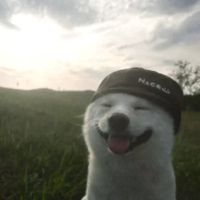raminrzgarmajeedgmailcom
