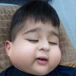 sarhadsurchi