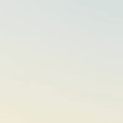 shnyarahmed5gmailcom