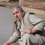 nazmali