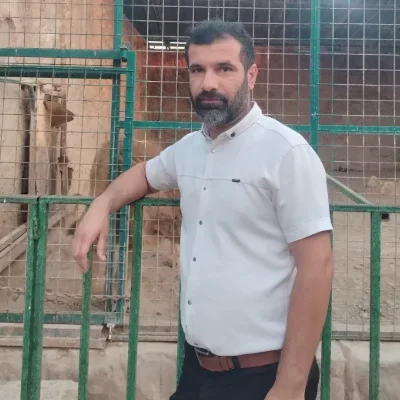 Mohammed3363