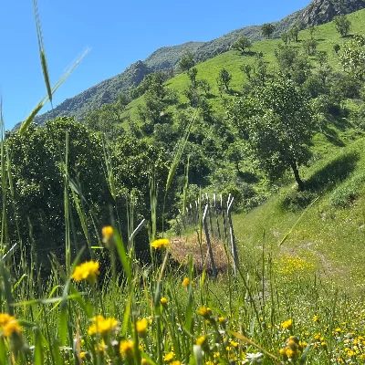 Danajalal