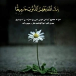 muhammedzahir