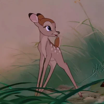 DalalZiwer