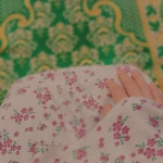 bushra112233