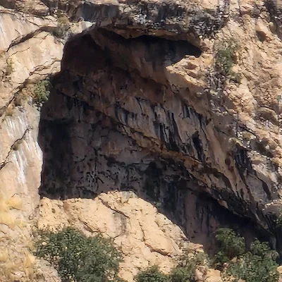 hawzhinjaff