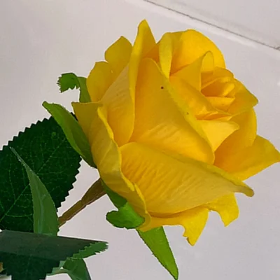 Suzan_11