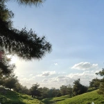 yousifj7