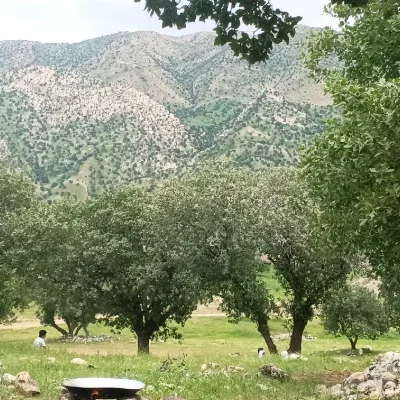 alannuralal
