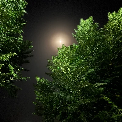 hoshangsabah