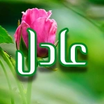 adil92