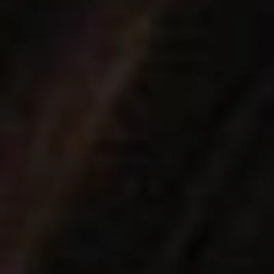 hamahaval688gmailcom