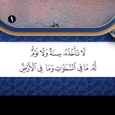 laylaqader54gmailcom