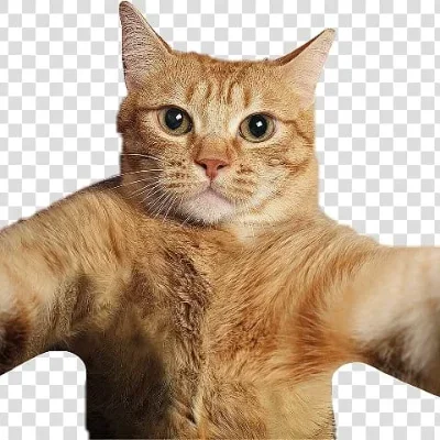 gulirash