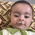 shahabwahid09gmailcom