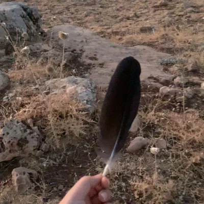 Mhtab24