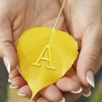 adalat