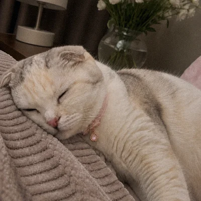 nyanluqman