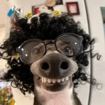 Vik3ng