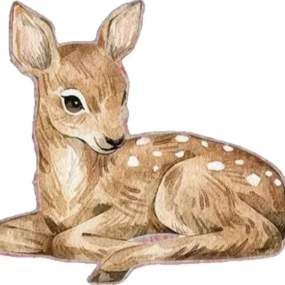 eisrasherko