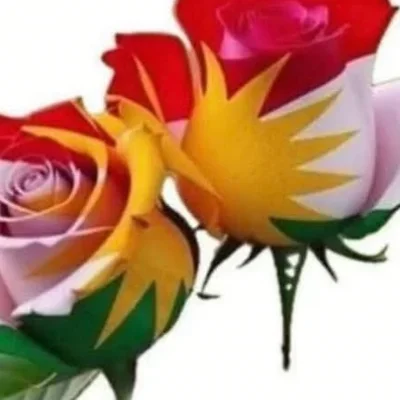 gullanaz9009gmailcom