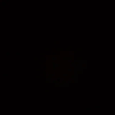 elyashoshmand3gmailcom
