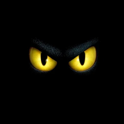 BLACKWorld