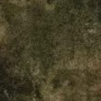 Hamadagha