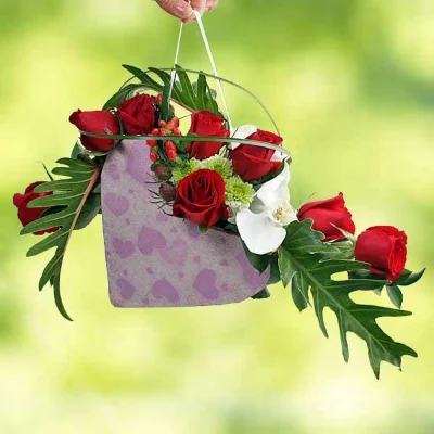 Salm995salm
