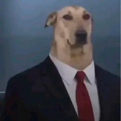 Xlmw