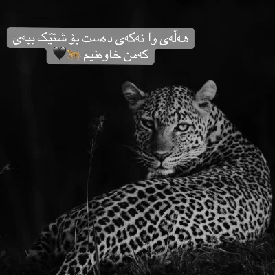 Sedo12