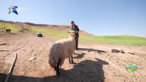 خه‌سوو به‌چ شێوازێك له‌گه‌ڵ بووكی خراپ ده‌بێت ؟
