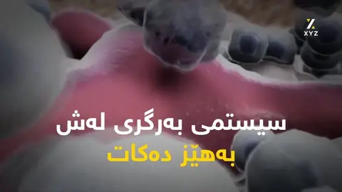 6 سوودی تەندروستی ساونا