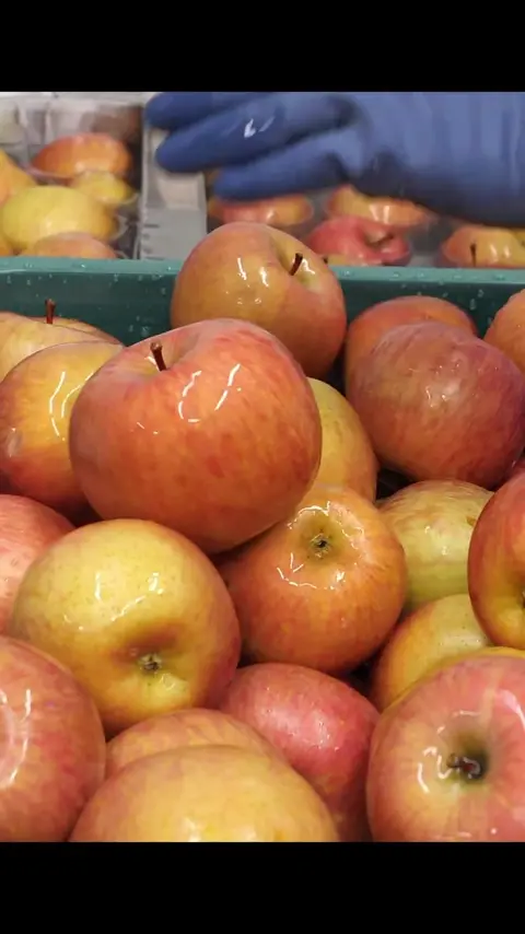100% fruit juice! Clean apple juice produced in only 15,000 packs per day #[13]