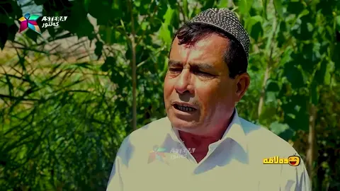 عه‌بۆ له‌م دارستانه‌ چیده‌كات ؟