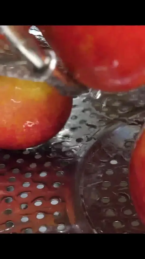 Freeze drying_! Mass production of cleanly made crispy apple snacks #[13]
