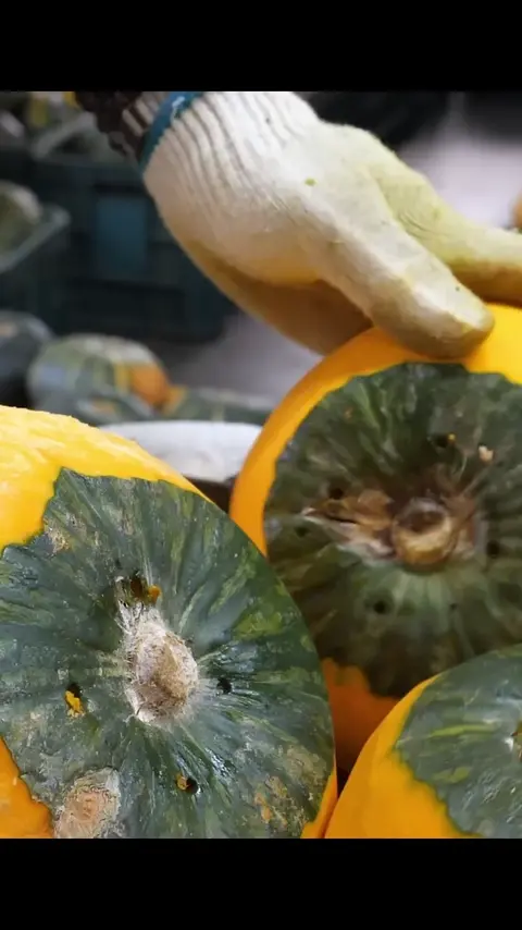 Amazing pumpkin drink _ korea food factory #[13]