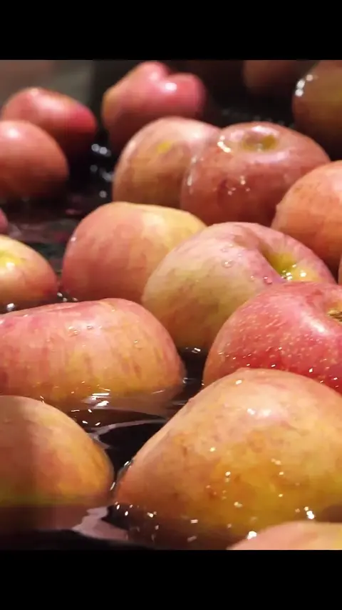 Amazing automatic process_! Washed apple mass production factory in Korea #[13]