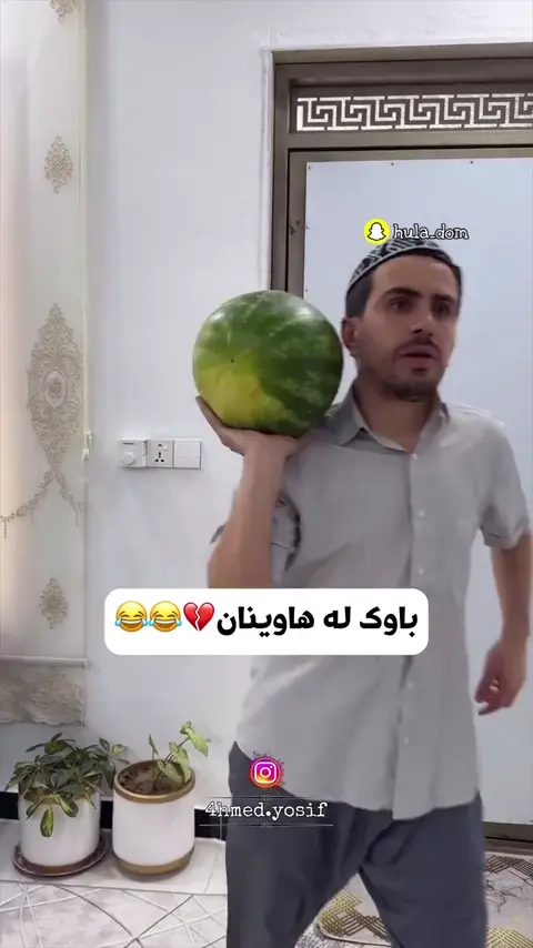 باوک لە هاوینان😂😂