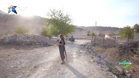 دانیشتوانی گوندی چیوه‌ زۆربه‌یان گوێدرێژبه‌كاردێنن  بۆ كاری ڕۆژانه‌یان