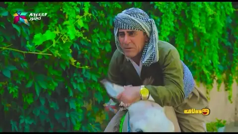به‌زمی سه‌عید و كه‌ره‌كه‌ی !