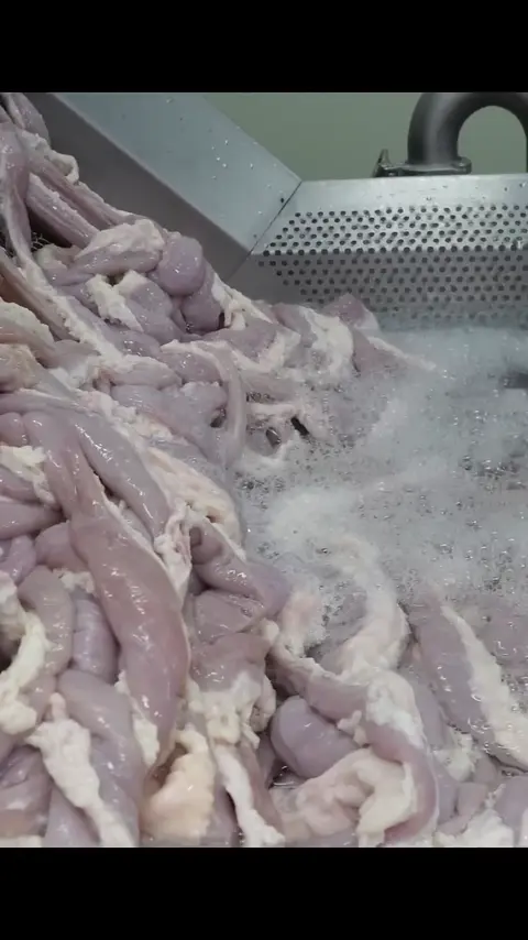 Excellent! Mass production of popular Korean late-night snack cow intestines #[13]