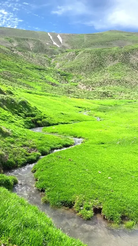 کوێستانەکانی باڵەکایەتی دوومەڵ? ـ #سروشتی_کوردستان #سروستی_باڵەکایەتی #کوردستان #کوردەواری