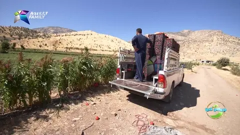 به‌شێوازێكی یه‌كجار تایبه‌ت ته‌ماته‌كان ریز ده‌كات بۆ فڕۆشتن.