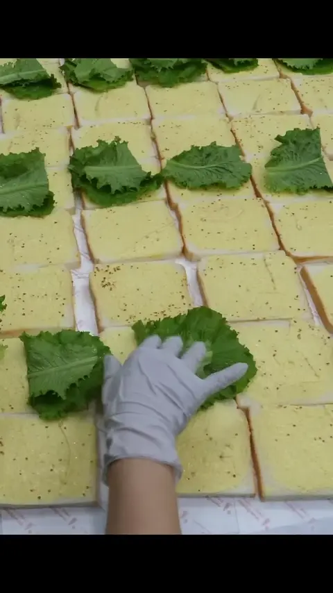 extreme job! sandwich lunch box master _ korean street food #shorts