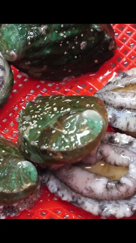 Mass production of Korean style soy sauce abalone _ food factory #[13]